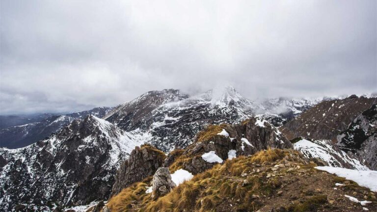 Does 99Exch Have A Verified Profile On Trustpilot?